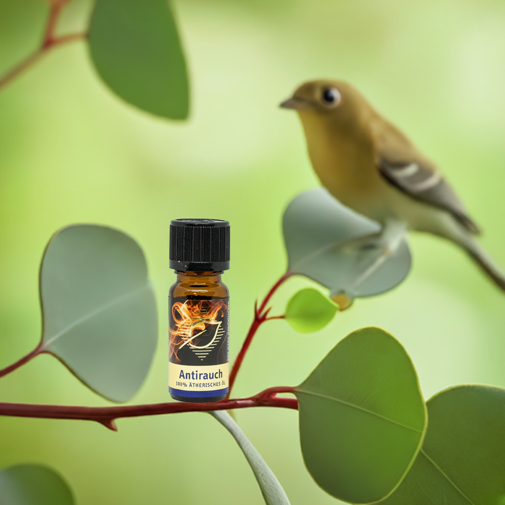 Luftreinigend – Anti‑Rauch – ätherische Ölmischung Aroma Manufaktur® ätherisches Öl