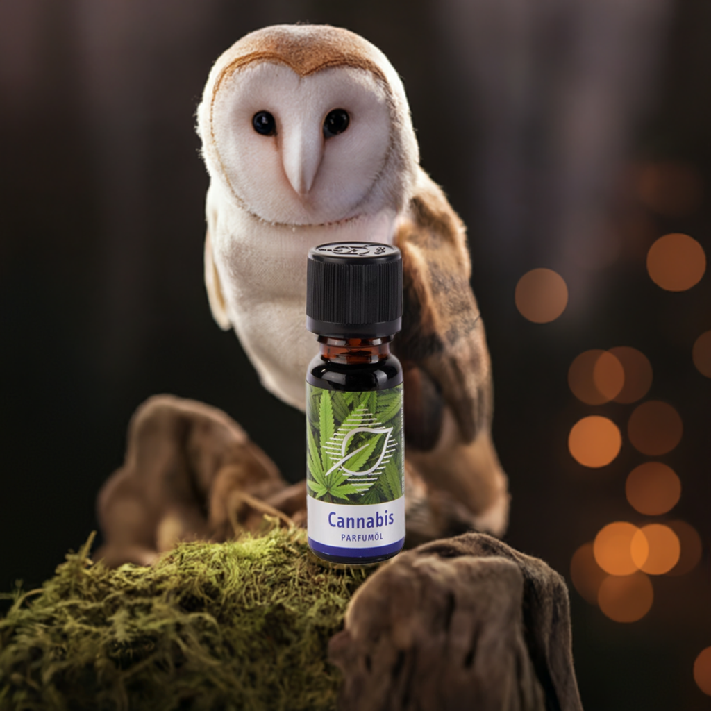 Cannabis Duftöl - Natürlich würzig & entspannend für Raumduft, 10 ml Aroma Manufaktur® ätherisches Öl