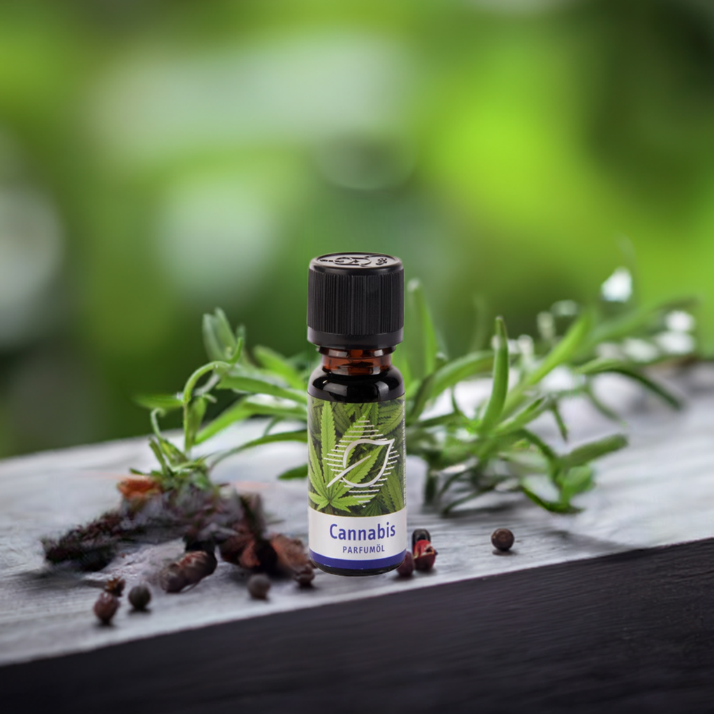 Cannabis Duftöl - Natürlich würzig & entspannend für Raumduft, 10 ml Aroma Manufaktur® ätherisches Öl