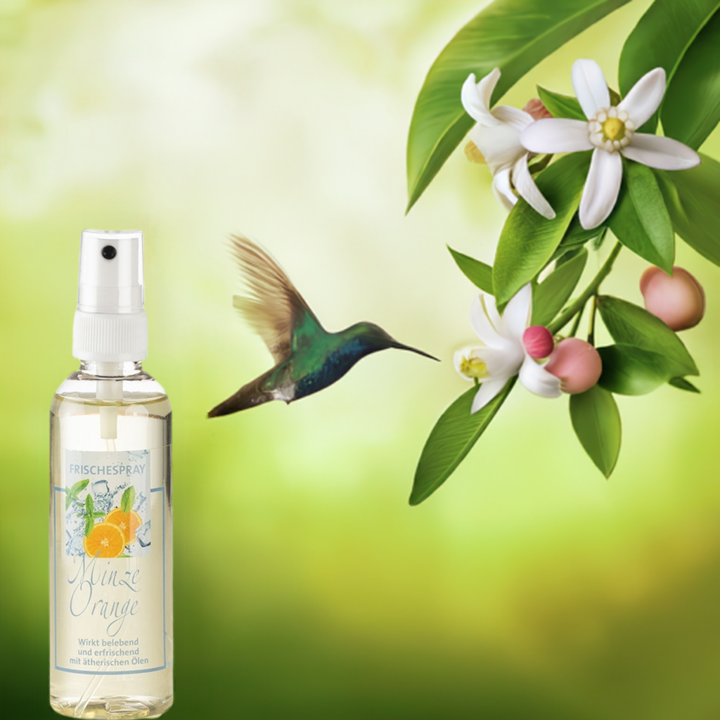 Frischekick – Orange & Minze – Raumspray Aroma Manufaktur® Duftspray