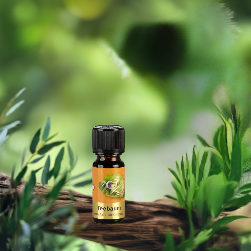 Klärend & frisch – Teebaum – ätherisches Öl Aroma Manufaktur®