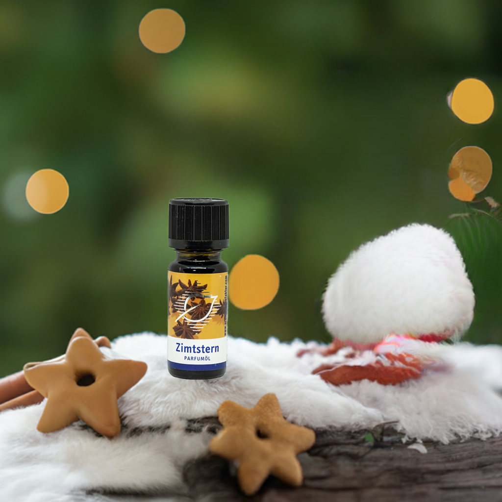 Zimtstern Duftöl – Warmer, würziger Raumduft für Gemütlichkeit, 10 ml Aroma Manufaktur® ätherisches Öl