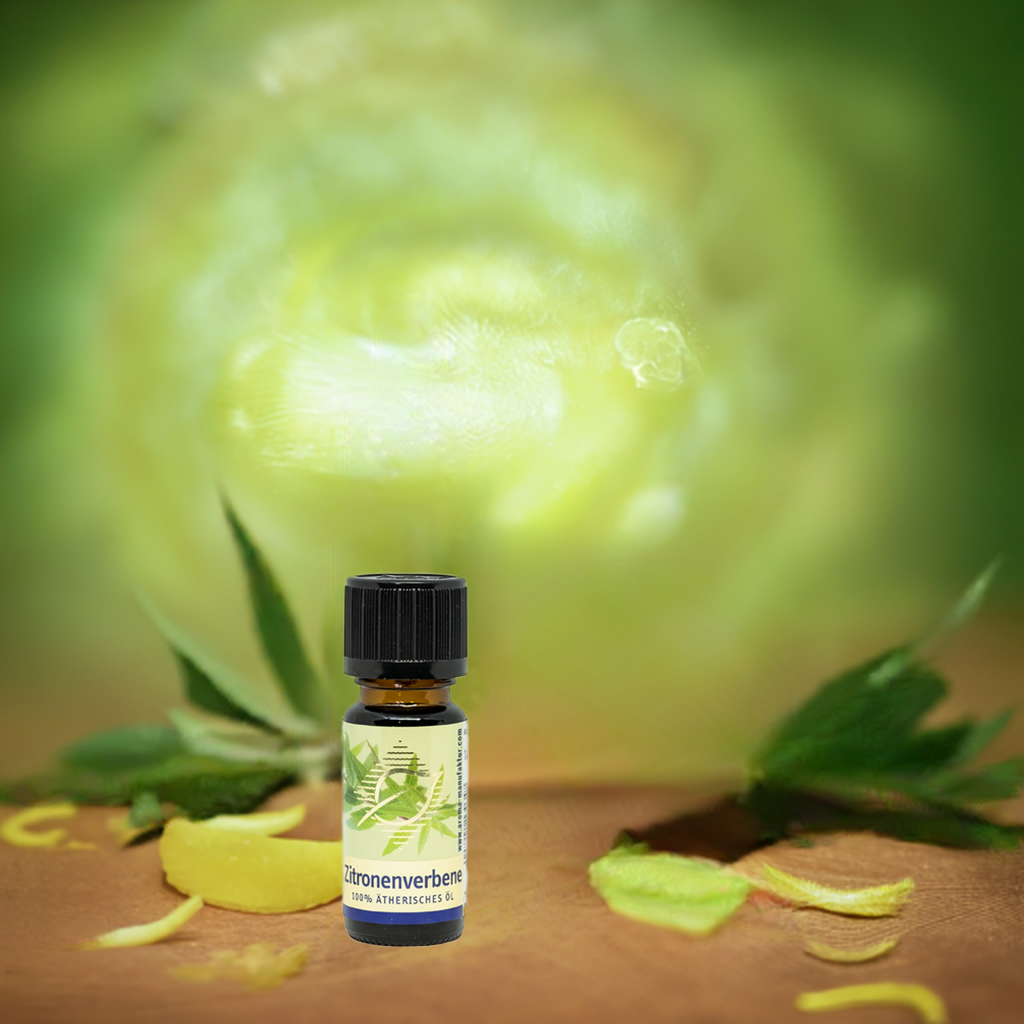 Erfrischend – Zitronenverbene (Aloysia citriodora) – ätherisches Öl Aroma Manufaktur®