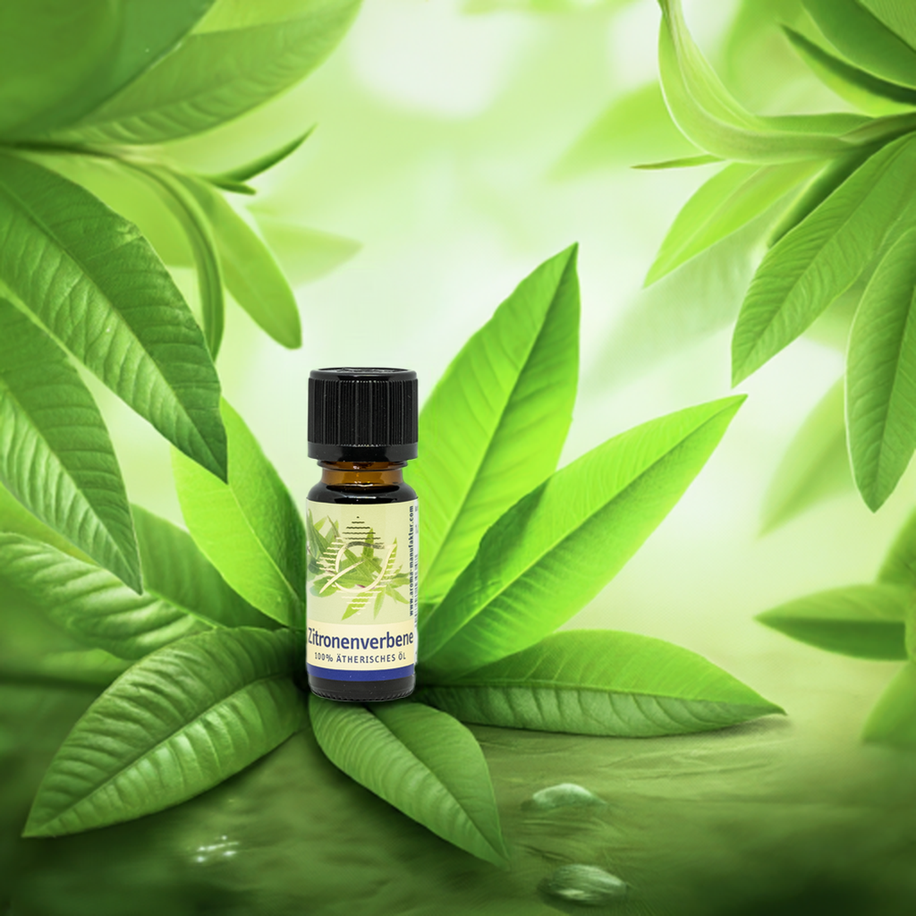 Erfrischend – Zitronenverbene (Aloysia citriodora) – ätherisches Öl Aroma Manufaktur®