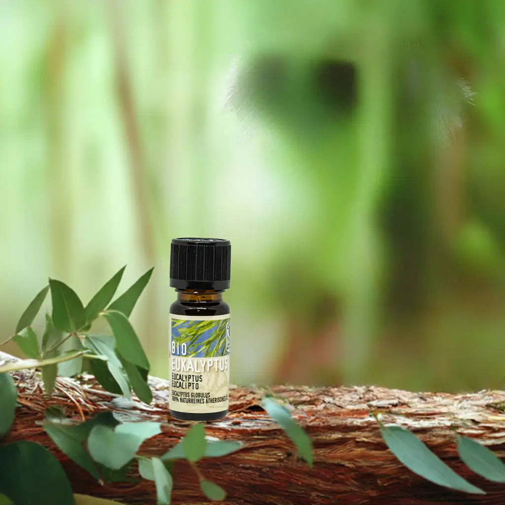 Eukalyptus Bio Zertifiziertes Ätherisches Öl 10 ml Aroma Manufaktur®