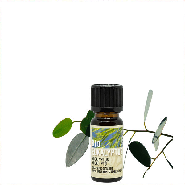 Bio Eukalyptus zertifiziertes Ätherische Öl 10 ml