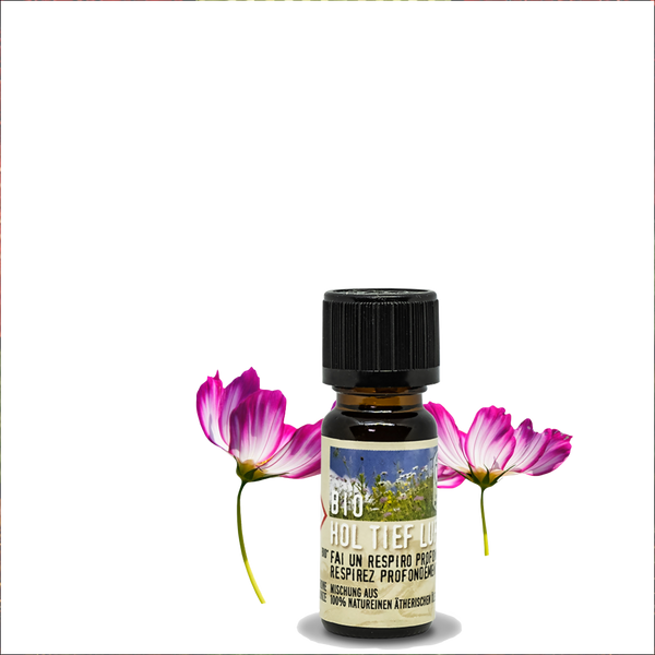 Bio Hol Tief Luft - Bio zertifiziertes Ätherische Öl 10 ml