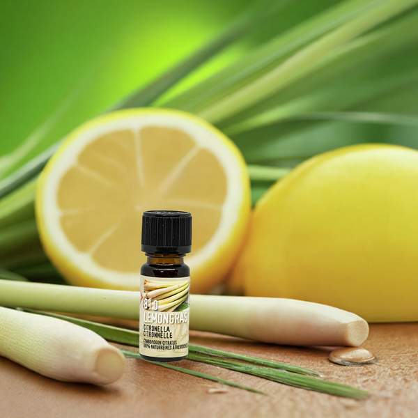 Lemongras Bio Zertifiziertes Ätherische Öl 10 ml