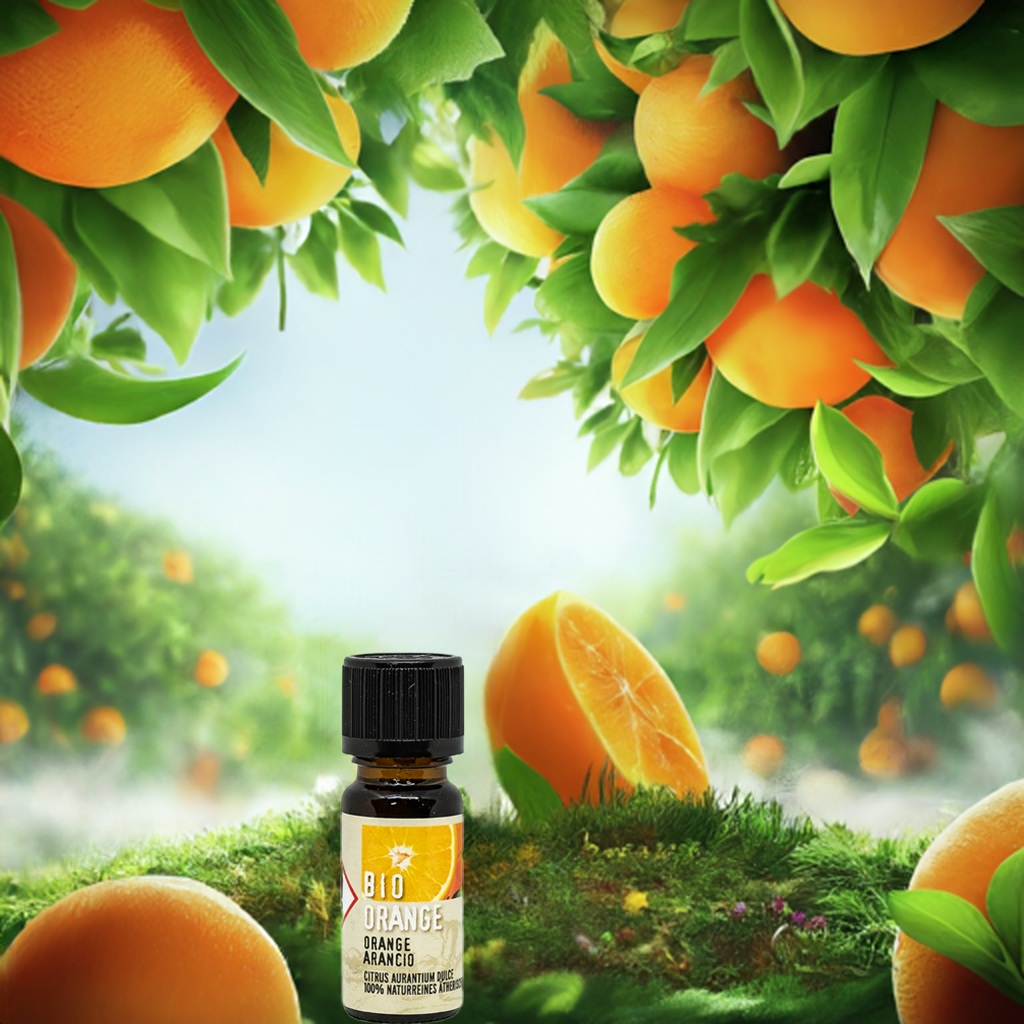 Bio Orange, 10ml, 100% reines ätherisches BIO-Öl